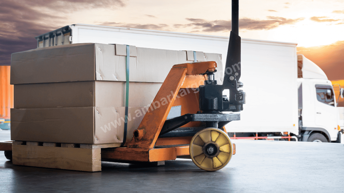 Kurucaşile Paletli Yük Taşıma